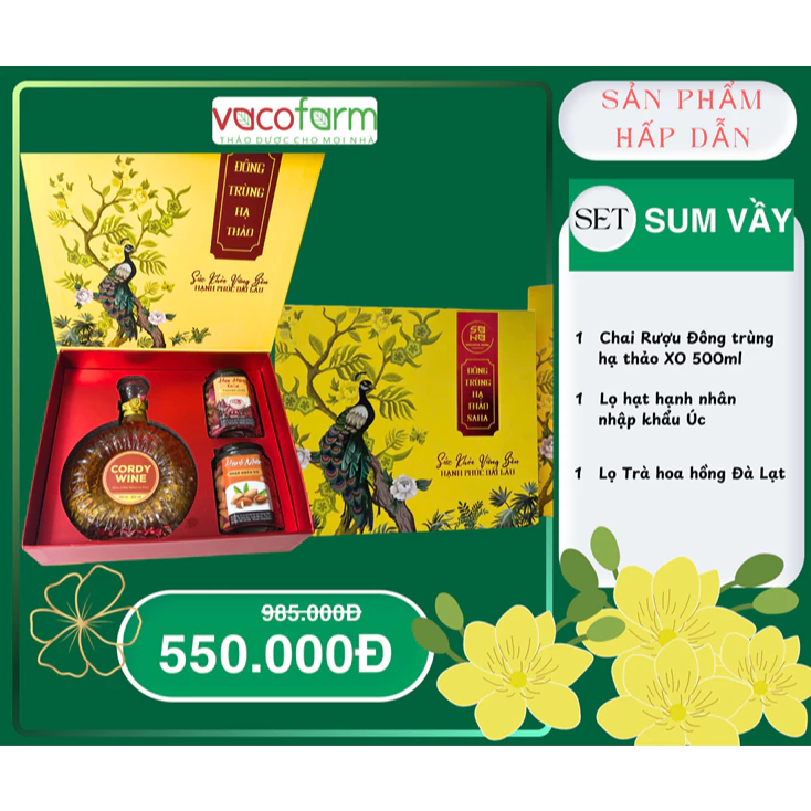[ƯU ĐÃI LỚN] COMBO SUM VẦY, QUÀ TẶNG CAO CẤP, QUÀ TẾT 2025