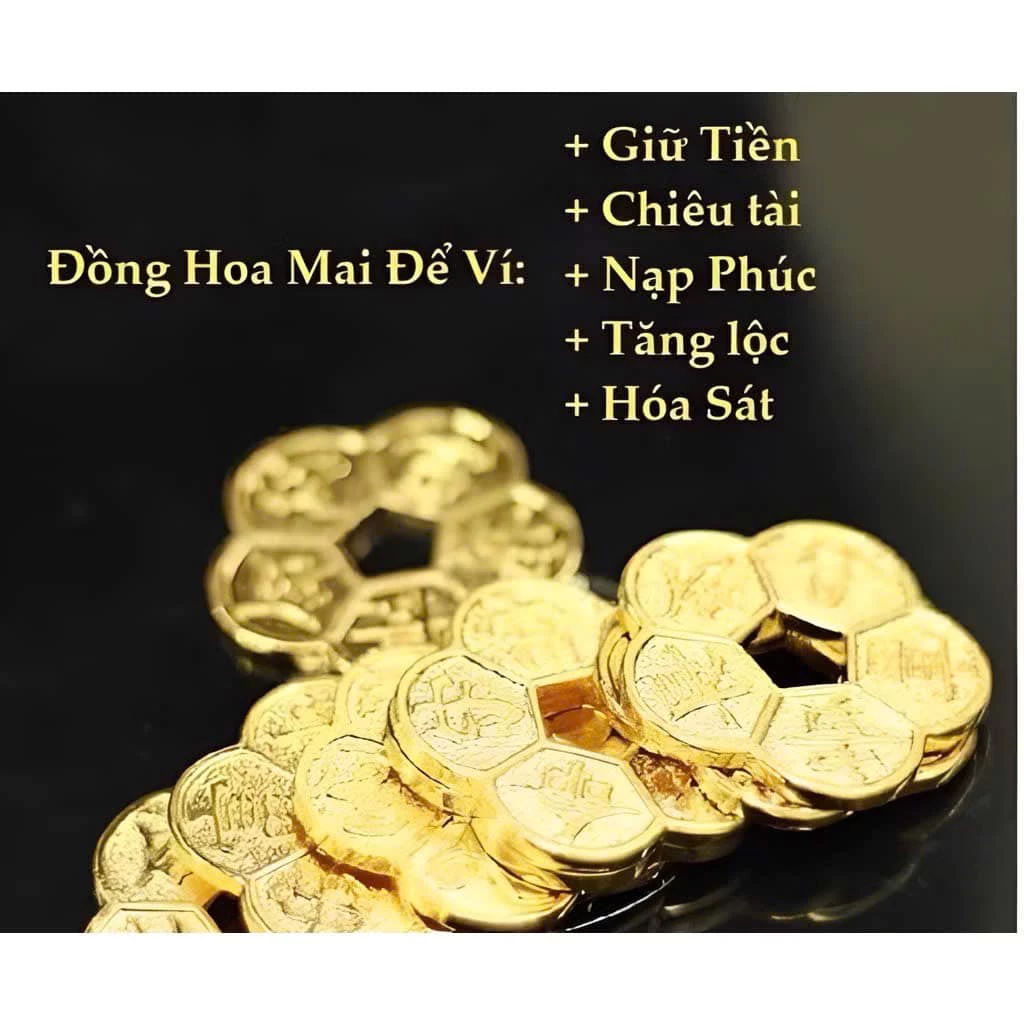 Xu Hoa Mai Mạ Vàng và Mạ Bạc – Đồng Xu Trang Trí Sang Trọng 2.5cm